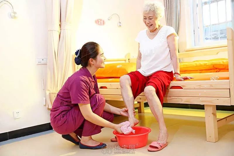 银发浪潮中的温暖守护——陪护行业的最新动态